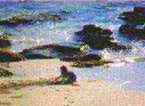 la plage et ses joies