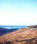 Vue sur les collines de Kerry