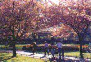 St Stephen's Green in the spring